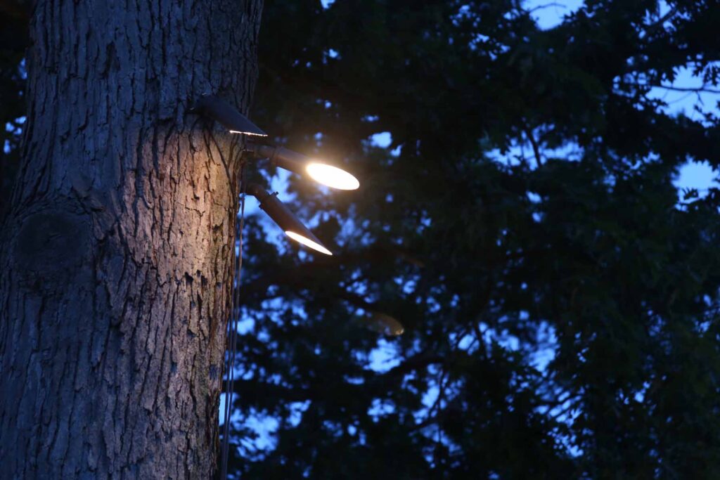 tree light 2