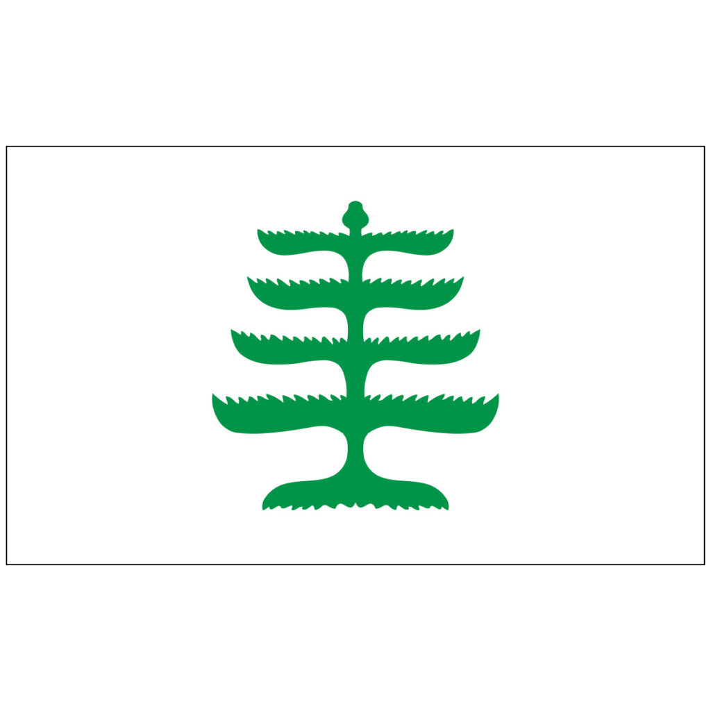 060574 3x5 pine tree flag image