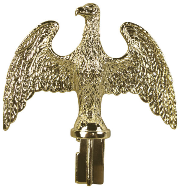 plastic slip fit eagle brass plated